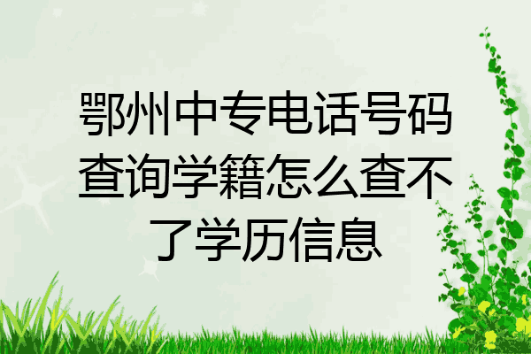 鄂州中专电话号码查询学籍怎么查不了学历信息