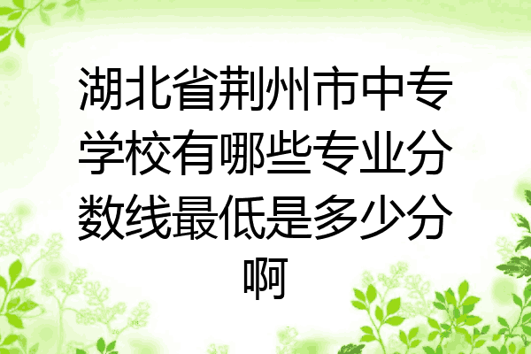 湖北省荆州市中专学校有哪些专业分数线最低是多少分啊