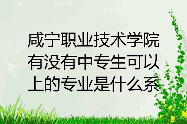 咸宁职业技术学院有没有中专生可以上的专业是什么系