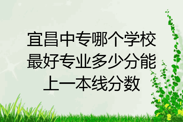 宜昌中专哪个学校最好专业多少分能上一本线分数