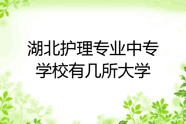 湖北护理专业中专学校有几所大学