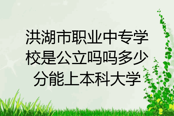 洪湖市职业中专学校是公立吗吗多少分能上本科大学
