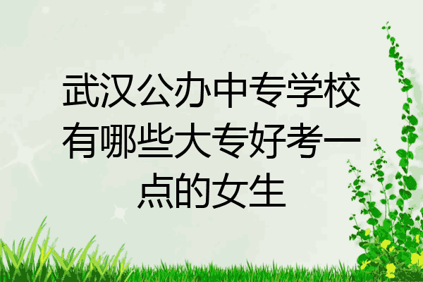 武汉公办中专学校有哪些大专好考一点的女生