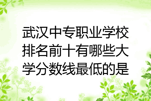 武汉中专职业学校排名前十有哪些大学分数线最低的是