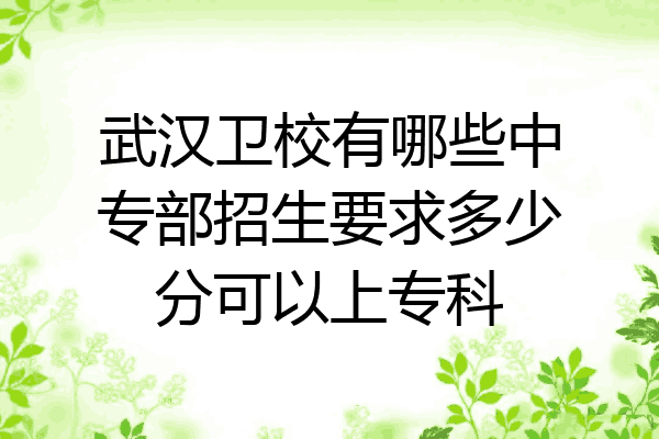 武汉卫校有哪些中专部招生要求多少分可以上专科