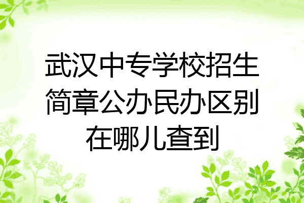 武汉中专学校招生简章公办民办区别在哪儿查到
