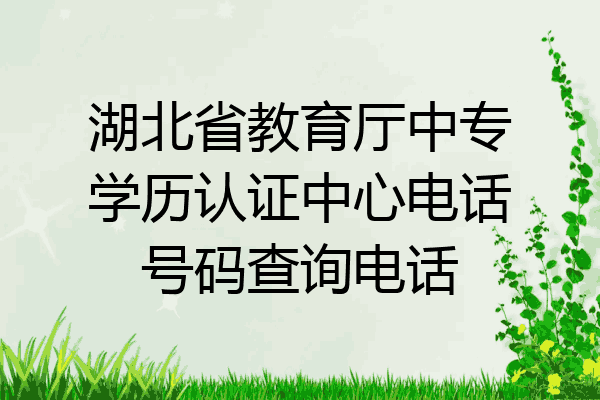 湖北省教育厅中专学历认证中心电话号码查询电话
