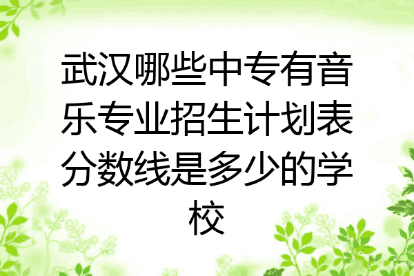 武汉哪些中专有音乐专业招生计划表分数线是多少的学校