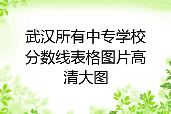 武汉所有中专学校分数线表格图片高清大图