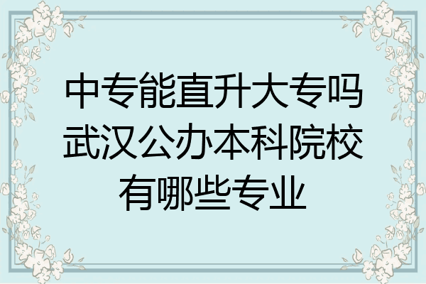 中专能直升大专吗武汉公办本科院校有哪些专业