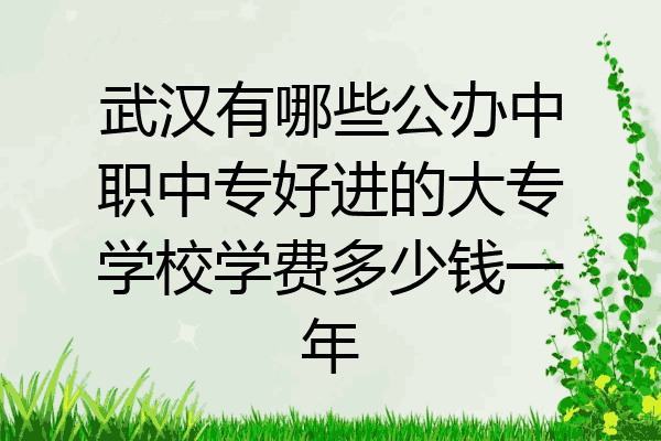 武汉有哪些公办中职中专好进的大专学校学费多少钱一年