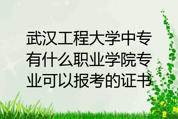 武汉工程大学中专有什么职业学院专业可以报考的证书