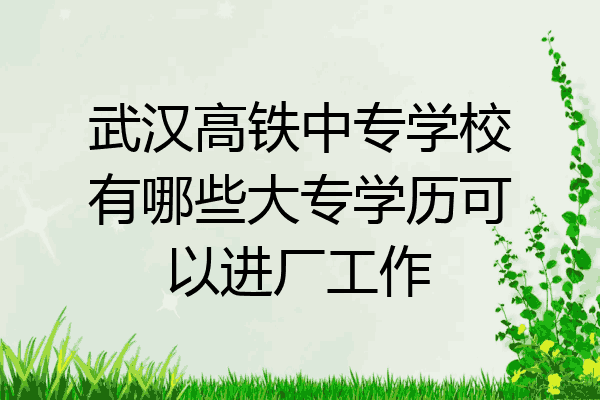 武汉高铁中专学校有哪些大专学历可以进厂工作