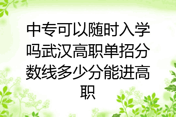 中专可以随时入学吗武汉高职单招分数线多少分能进高职