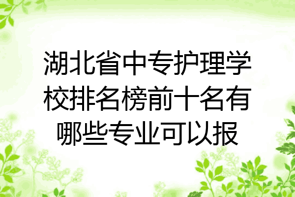 湖北省中专护理学校排名榜前十名有哪些专业可以报