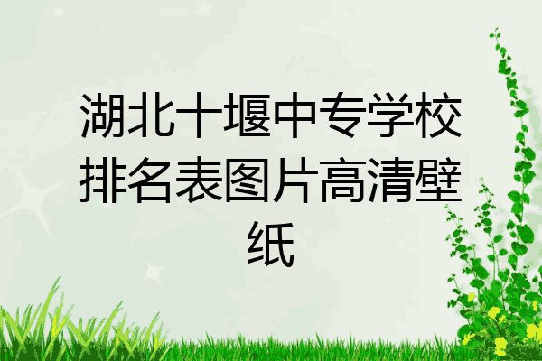 湖北十堰中专学校排名表图片高清壁纸