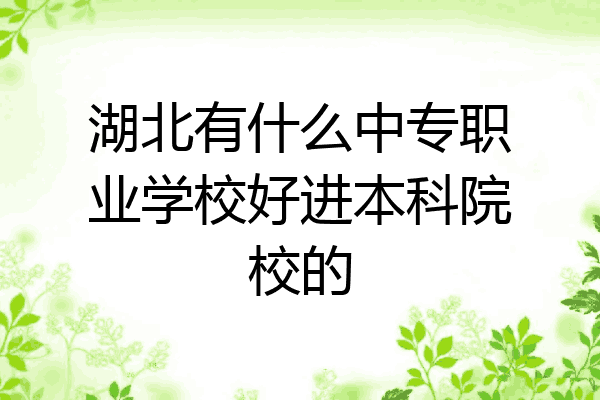 湖北有什么中专职业学校好进本科院校的