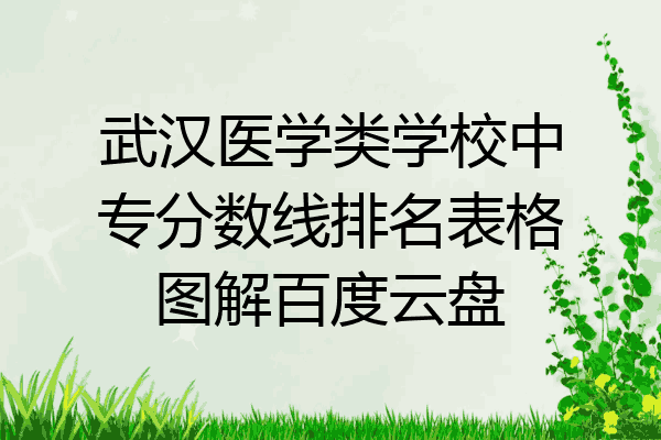 武汉医学类学校中专分数线排名表格图解百度云盘