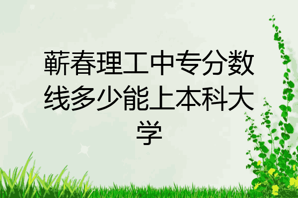 蕲春理工中专分数线多少能上本科大学