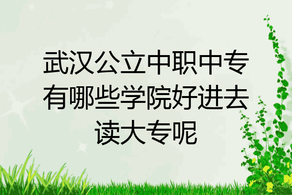 武汉公立中职中专有哪些学院好进去读大专呢