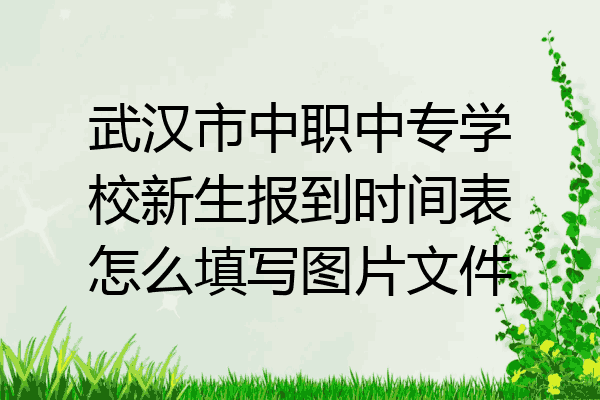 武汉市中职中专学校新生报到时间表怎么填写图片文件