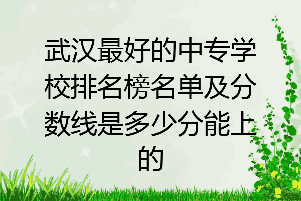 武汉最好的中专学校排名榜名单及分数线是多少分能上的