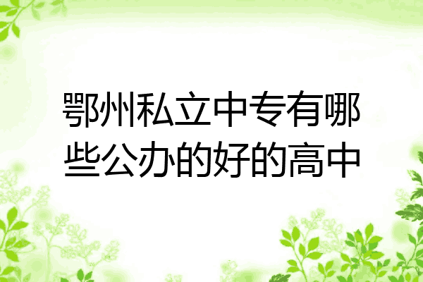 鄂州私立中专有哪些公办的好的高中