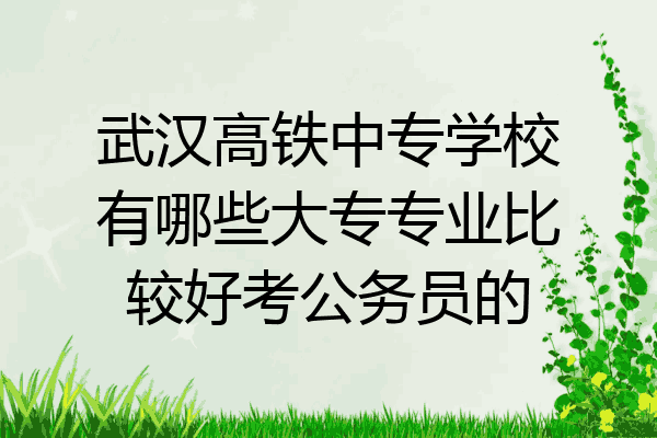 武汉高铁中专学校有哪些大专专业比较好考公务员的
