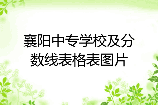 襄阳中专学校及分数线表格表图片