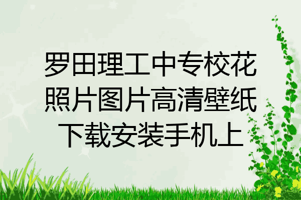 罗田理工中专校花照片图片高清壁纸下载安装手机上