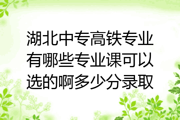 湖北中专高铁专业有哪些专业课可以选的啊多少分录取