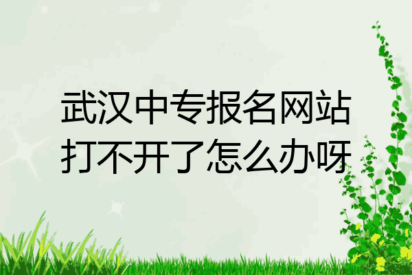 武汉中专报名网站打不开了怎么办呀