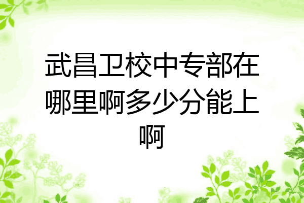 武昌卫校中专部在哪里啊多少分能上啊