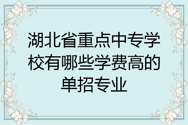 湖北省重点中专学校有哪些学费高的单招专业