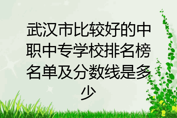 武汉市比较好的中职中专学校排名榜名单及分数线是多少