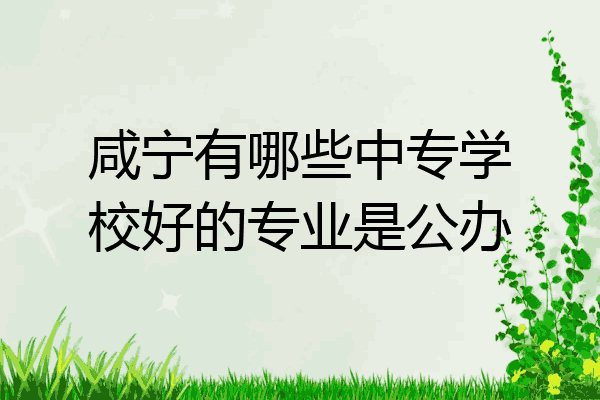 咸宁有哪些中专学校好的专业是公办