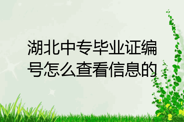 湖北中专毕业证编号怎么查看信息的