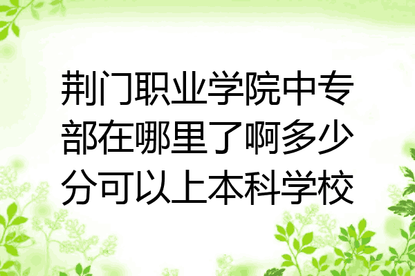 荆门职业学院中专部在哪里了啊多少分可以上本科学校