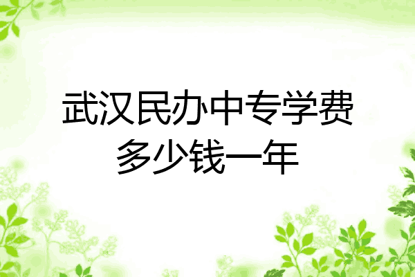 武汉民办中专学费多少钱一年