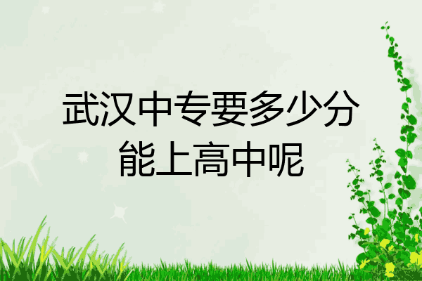 武汉中专要多少分能上高中呢