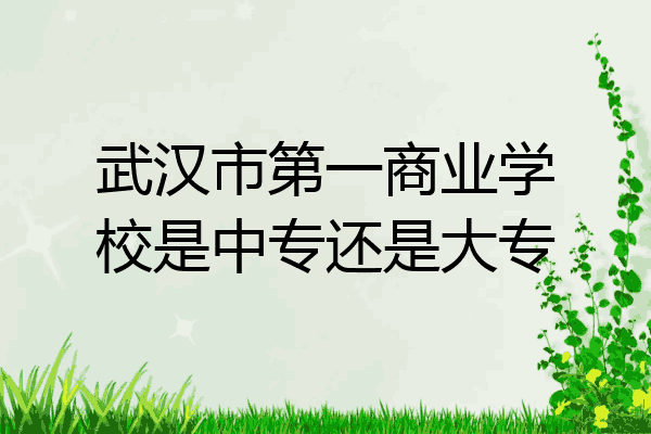 武汉市第一商业学校是中专还是大专