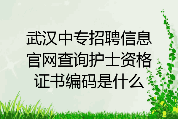 武汉中专招聘信息官网查询护士资格证书编码是什么