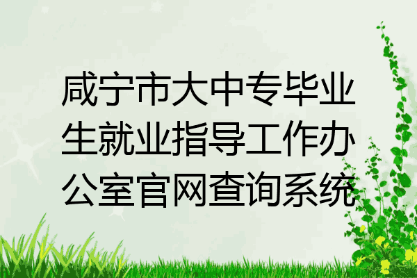 咸宁市大中专毕业生就业指导工作办公室官网查询系统