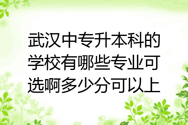 武汉中专升本科的学校有哪些专业可选啊多少分可以上