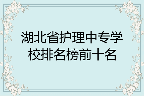 湖北省护理中专学校排名榜前十名