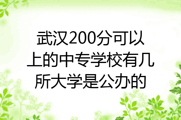 武汉200分可以上的中专学校有几所大学是公办的