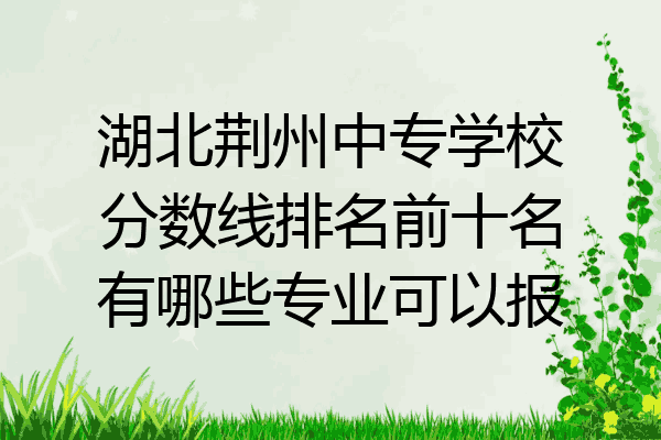 湖北荆州中专学校分数线排名前十名有哪些专业可以报