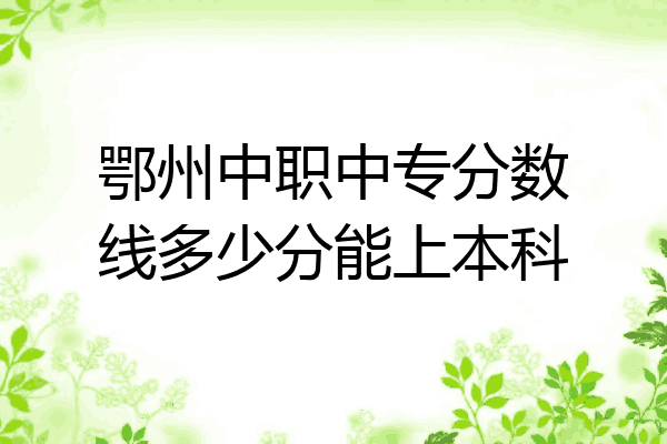 鄂州中职中专分数线多少分能上本科