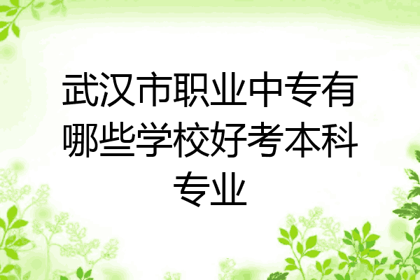 武汉市职业中专有哪些学校好考本科专业