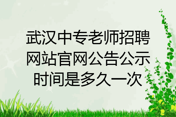 武汉中专老师招聘网站官网公告公示时间是多久一次